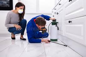 Best Pest Control for Multi-Family Homes  in Lake Mathews, CA